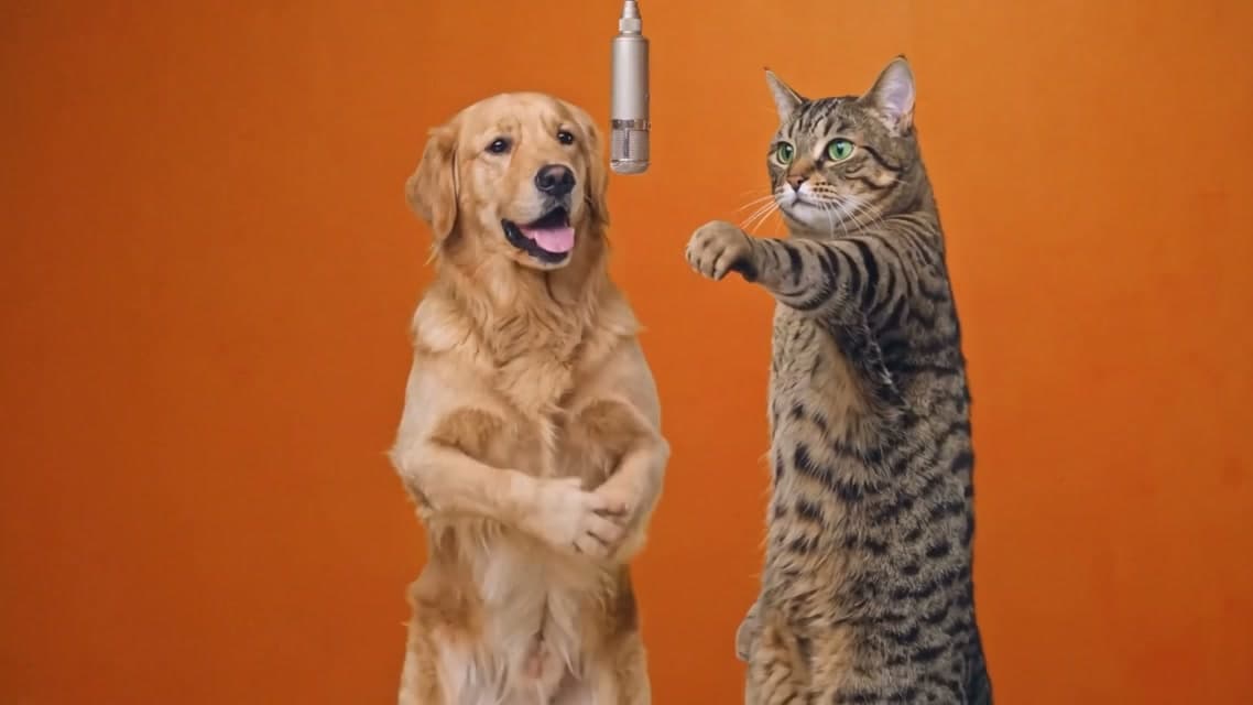 Hotel Lobby AI video showing a dog and a cat standing in an orange studio booth with a hanging microphone